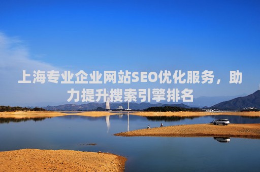 上海专业企业网站SEO优化服务，助力提升搜索引擎排名