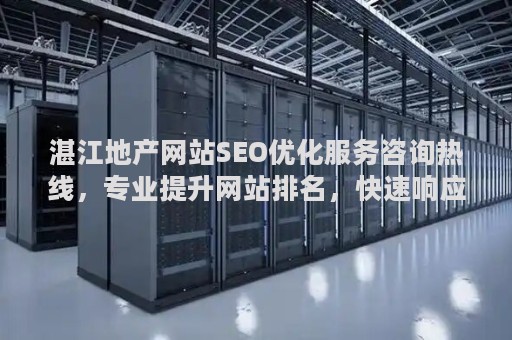 湛江地产网站SEO优化服务咨询热线，专业提升网站排名，快速响应！