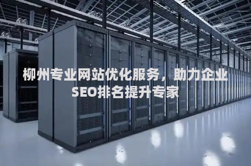 柳州专业网站优化服务，助力企业SEO排名提升专家