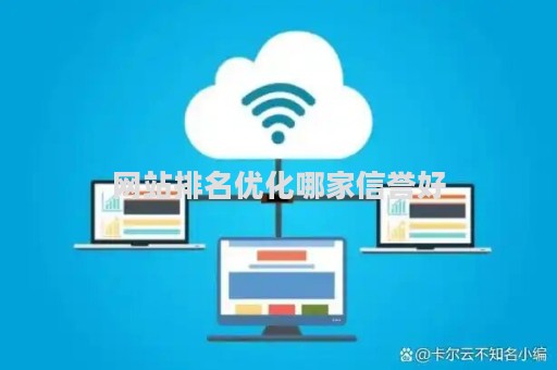 网站排名优化哪家信誉好（网站优化排名seo）