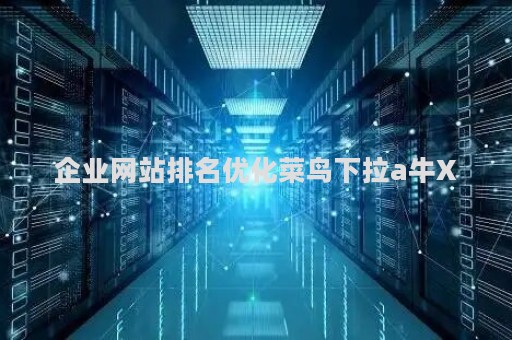企业网站排名优化菜鸟下拉a牛X