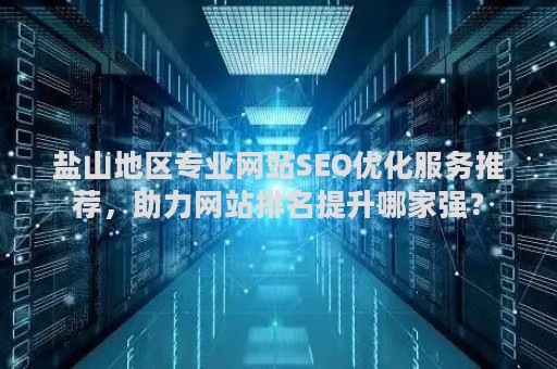 盐山地区专业网站SEO优化服务推荐，助力网站排名提升哪家强？
