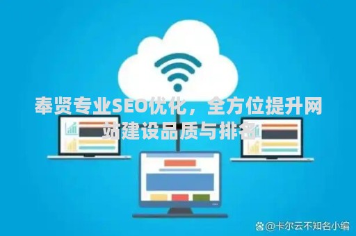 奉贤专业SEO优化，全方位提升网站建设品质与排名