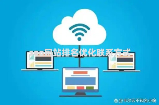 seo网站排名优化联系方式（seo网站排名优化案例）