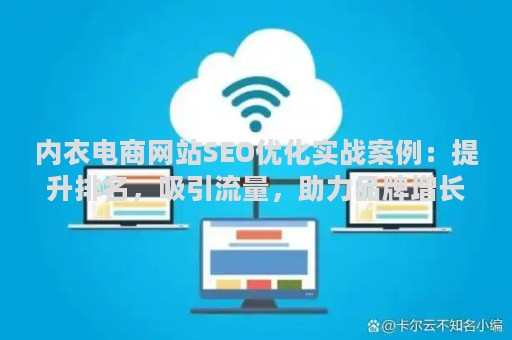 内衣电商网站SEO优化实战案例：提升排名，吸引流量，助力品牌增长
