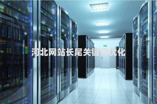 河北网站长尾关键词优化（河北利用关键词优化网页）