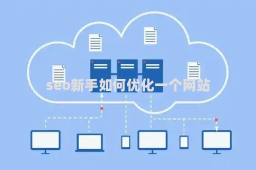 seo新手如何优化一个网站（seo教程网站优化）
