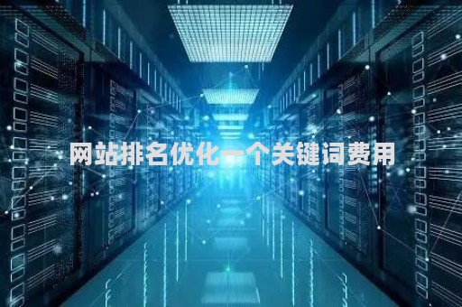 网站排名优化一个关键词费用（网站关键词排名优化软件）
