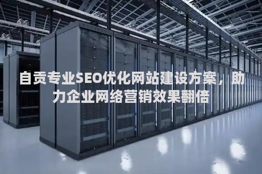 自贡专业SEO优化网站建设方案，助力企业网络营销效果翻倍