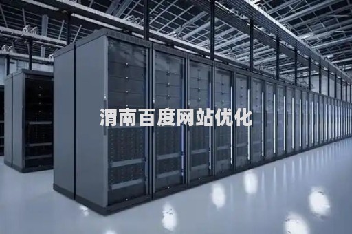 渭南百度网站优化（百度seo网站优化 网络服务）