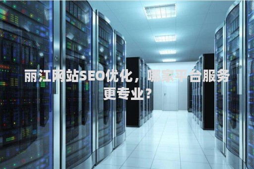 丽江网站SEO优化，哪家平台服务更专业？