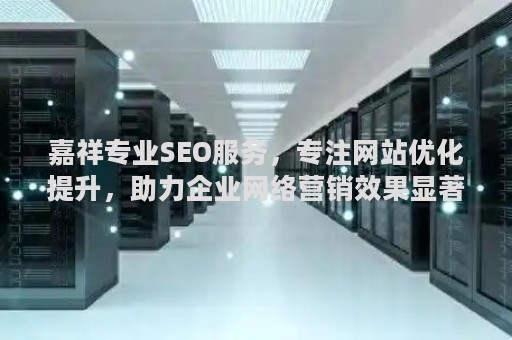 嘉祥专业SEO服务，专注网站优化提升，助力企业网络营销效果显著
