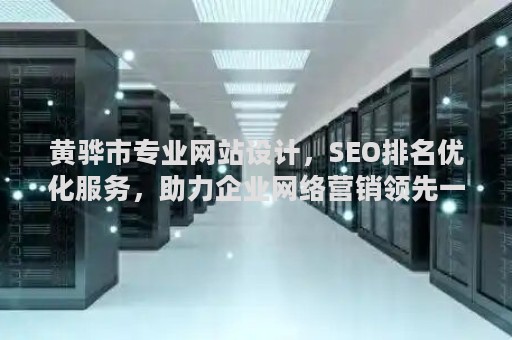 黄骅市专业网站设计，SEO排名优化服务，助力企业网络营销领先一步