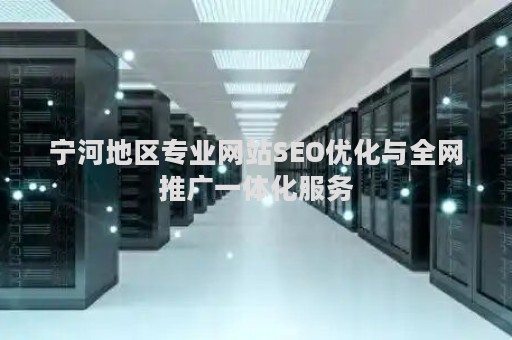宁河地区专业网站SEO优化与全网推广一体化服务