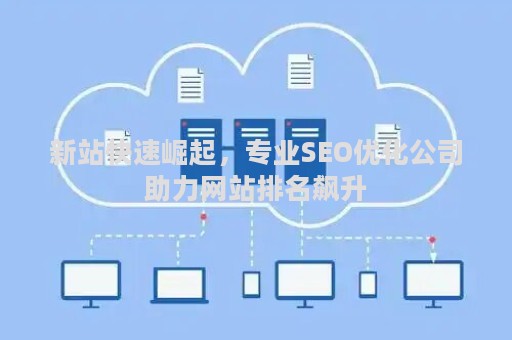 新站快速崛起，专业SEO优化公司助力网站排名飙升