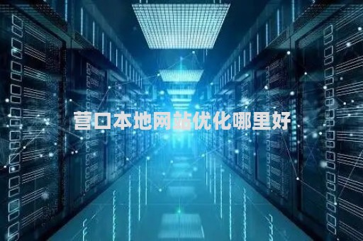 营口本地网站优化哪里好（营口官方网站）