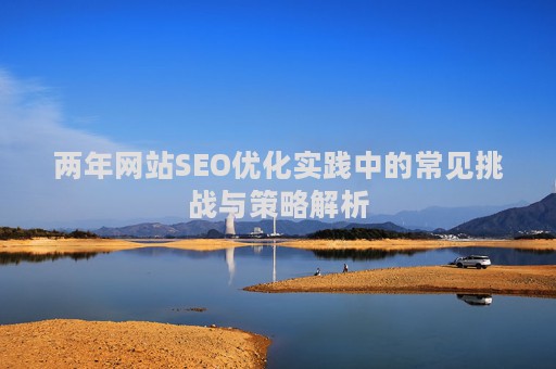 两年网站SEO优化实践中的常见挑战与策略解析