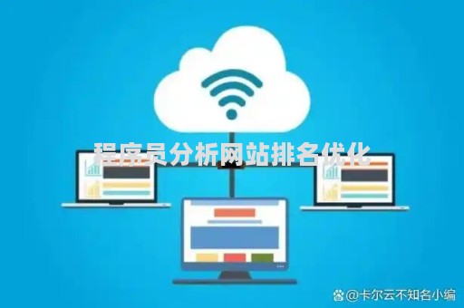 程序员分析网站排名优化（程序员网站知乎）