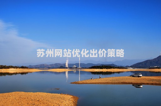 苏州网站优化出价策略（苏州网站排名优化价格）