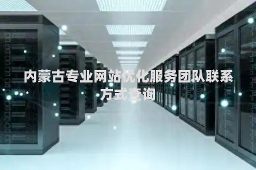 内蒙古专业网站优化服务团队联系方式查询