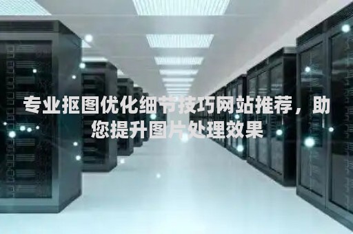 专业抠图优化细节技巧网站推荐，助您提升图片处理效果