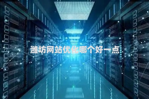 潍坊网站优化哪个好一点（潍坊seo排名优化）