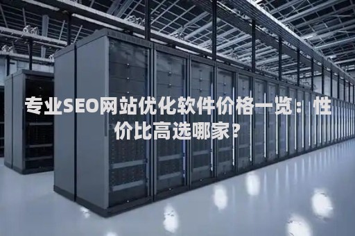 专业SEO网站优化软件价格一览：性价比高选哪家？