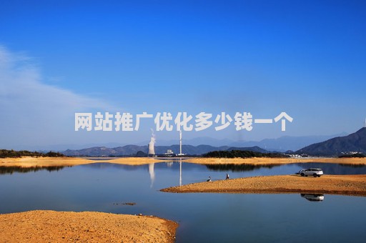 网站推广优化多少钱一个（网站推广排名优化多少钱）