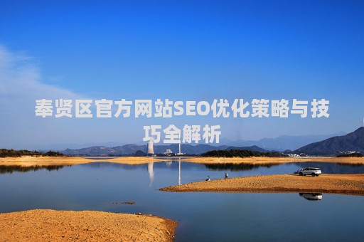 奉贤区官方网站SEO优化策略与技巧全解析