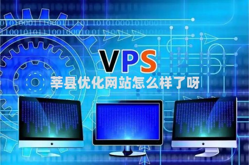 莘县优化网站怎么样了呀（莘县seo）