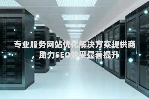专业服务网站优化解决方案提供商，助力SEO效果显著提升