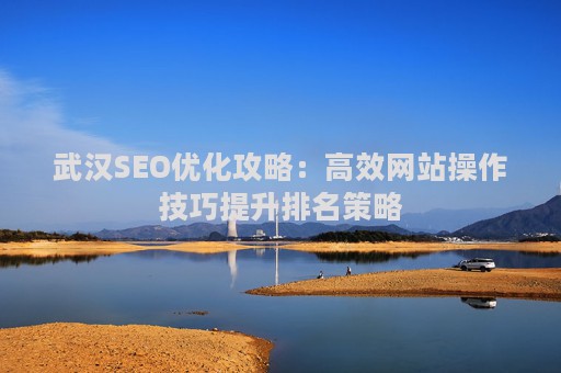 武汉SEO优化攻略：高效网站操作技巧提升排名策略
