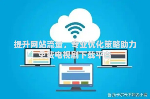 提升网站流量，专业优化策略助力免费电视剧下载平台