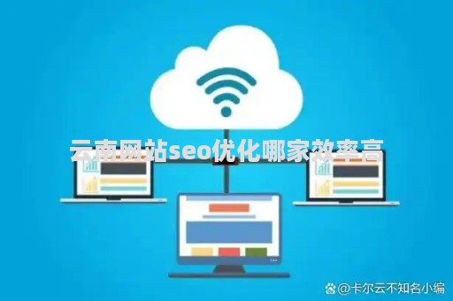 云南网站seo优化哪家效率高（云南网络推广seo代理公司）