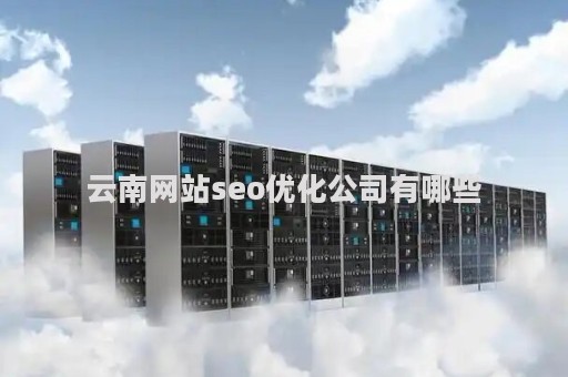 云南网站seo优化公司有哪些（云南seo排名公司）