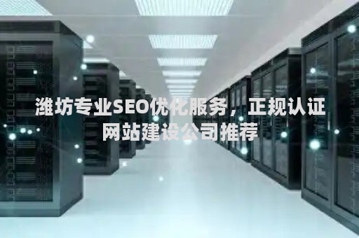 潍坊专业SEO优化服务，正规认证网站建设公司推荐