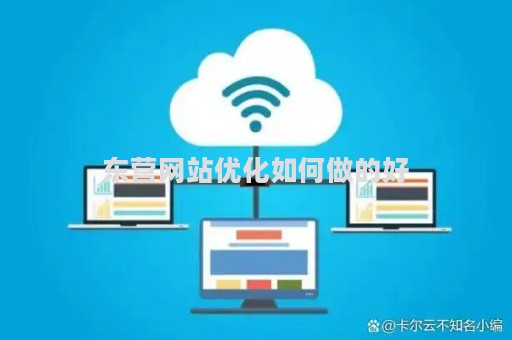 东营网站优化如何做的好（网站优化要怎么做）
