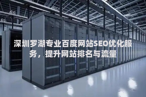深圳罗湖专业百度网站SEO优化服务，提升网站排名与流量
