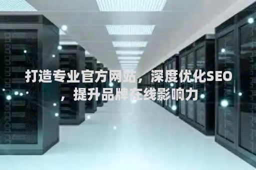 打造专业官方网站，深度优化SEO，提升品牌在线影响力