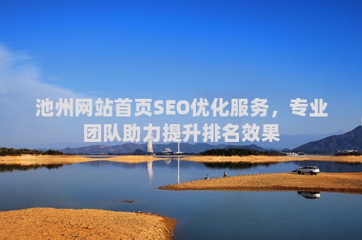 池州网站首页SEO优化服务，专业团队助力提升排名效果