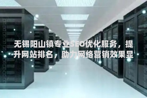 无锡阳山镇专业SEO优化服务，提升网站排名，助力网络营销效果显著