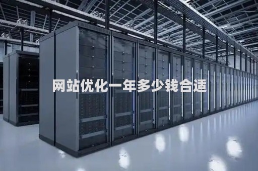 网站优化一年多少钱合适（网站优化收费标准）