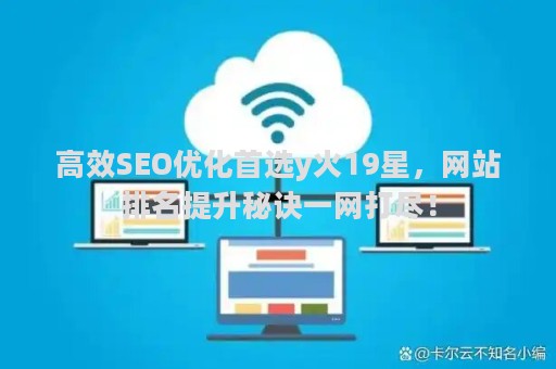 高效SEO优化首选y火19星，网站排名提升秘诀一网打尽！