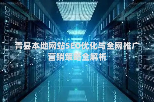 青县本地网站SEO优化与全网推广营销策略全解析