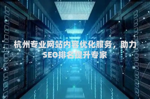 杭州专业网站内容优化服务，助力SEO排名提升专家