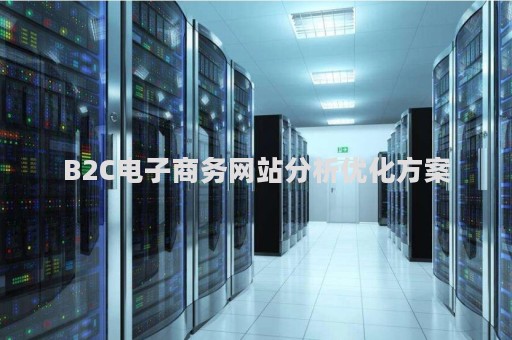 B2C电子商务网站分析优化方案（b2c电子商务网站发展和运营的要素有哪些方面）