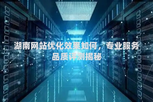 湖南网站优化效果如何,专业服务品质评测揭秘 湖南网站优化效果如何,专业服务品质评测揭秘