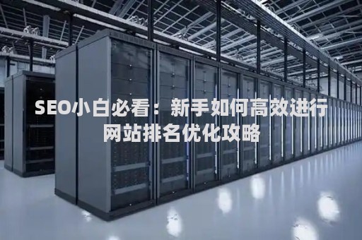 SEO小白必看：新手如何高效进行网站排名优化攻略