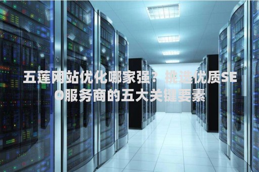 五莲网站优化哪家强？挑选优质SEO服务商的五大关键要素