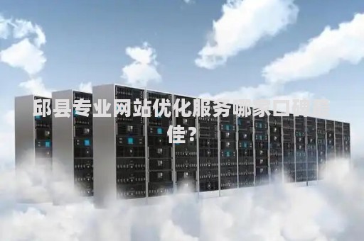 邱县专业网站优化服务哪家口碑最佳？